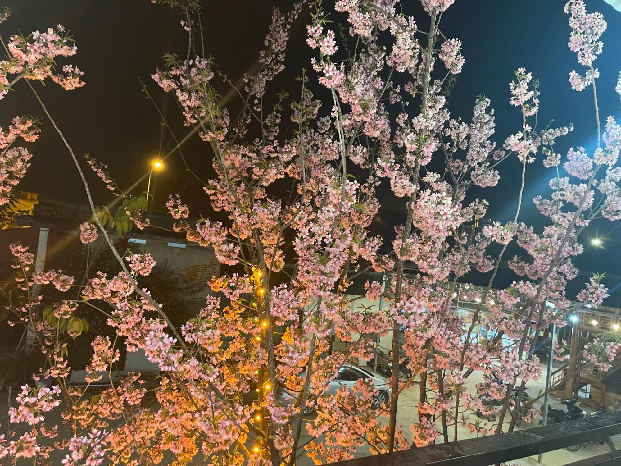 Bin House - Moc Chau Hotel ภายนอก รูปภาพ